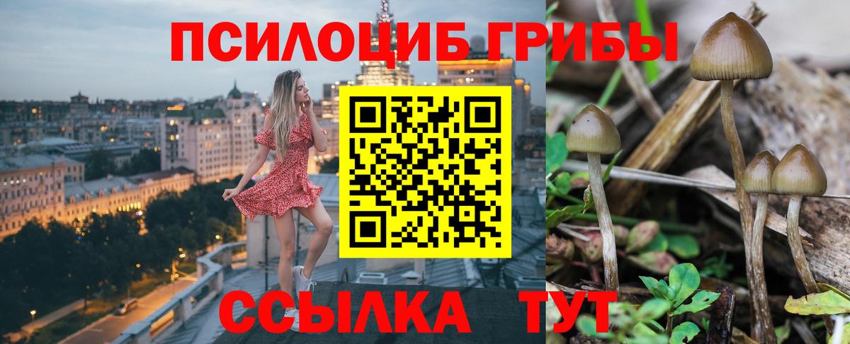 Псилоцибиновые грибы MAGIC MUSHROOMS Асино